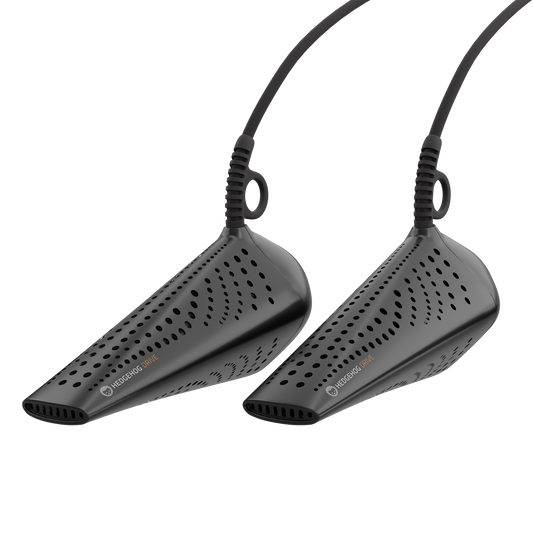 Hedgehog Drive - 12 volt for car